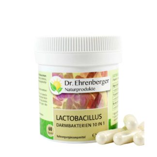 Lactobacillus 10