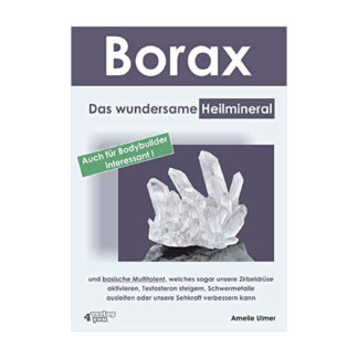 Buch Borax Das wundersame Heilmineral